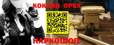 a pvp Камышлов