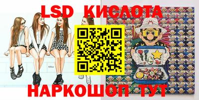 a pvp Камышлов