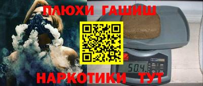 a pvp Камышлов