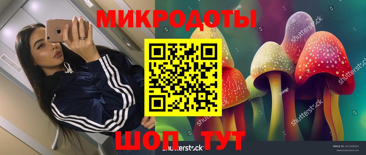 Галлюциногенные грибы GOLDEN TEACHER  Галлюциногенные грибы прущие грибы  Вход с VPN  Кулебаки 